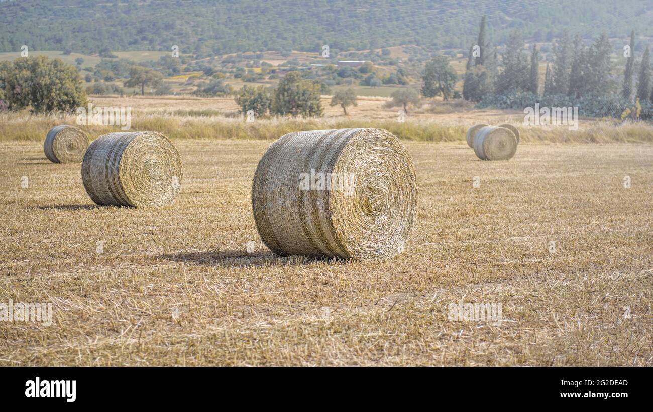 Heuballen in einem Feld aus gesägten getrockneten Gräsern, mit mediterraner Landschaft in der Ferne Stockfoto