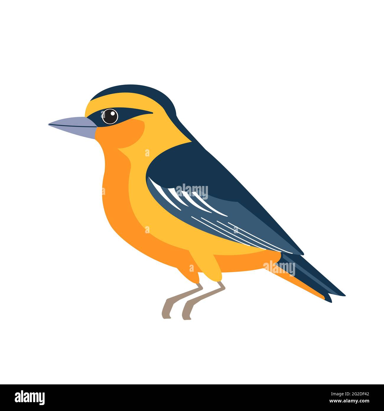 Singvogel Illustration Stockfotos Und Bilder Kaufen Alamy