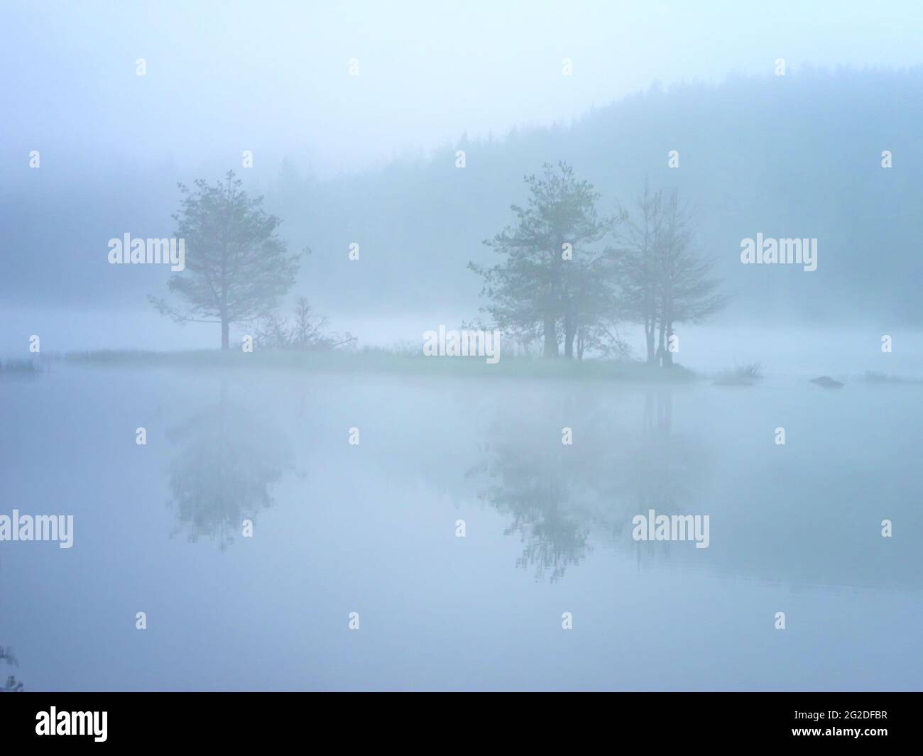 Mystisches Licht am frühen Morgen. Landschaft mit Shiroka polyana (weite Wiese) Rodophe Berg. Bulgarien Stockfoto