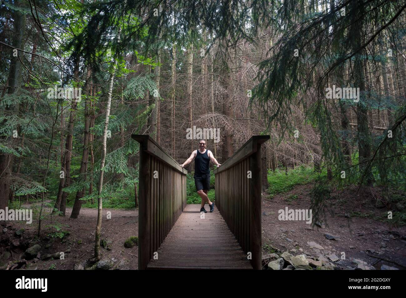 Eine Familie erkundet die Wälder frankreichs und die schattigen Pinien Stockfoto