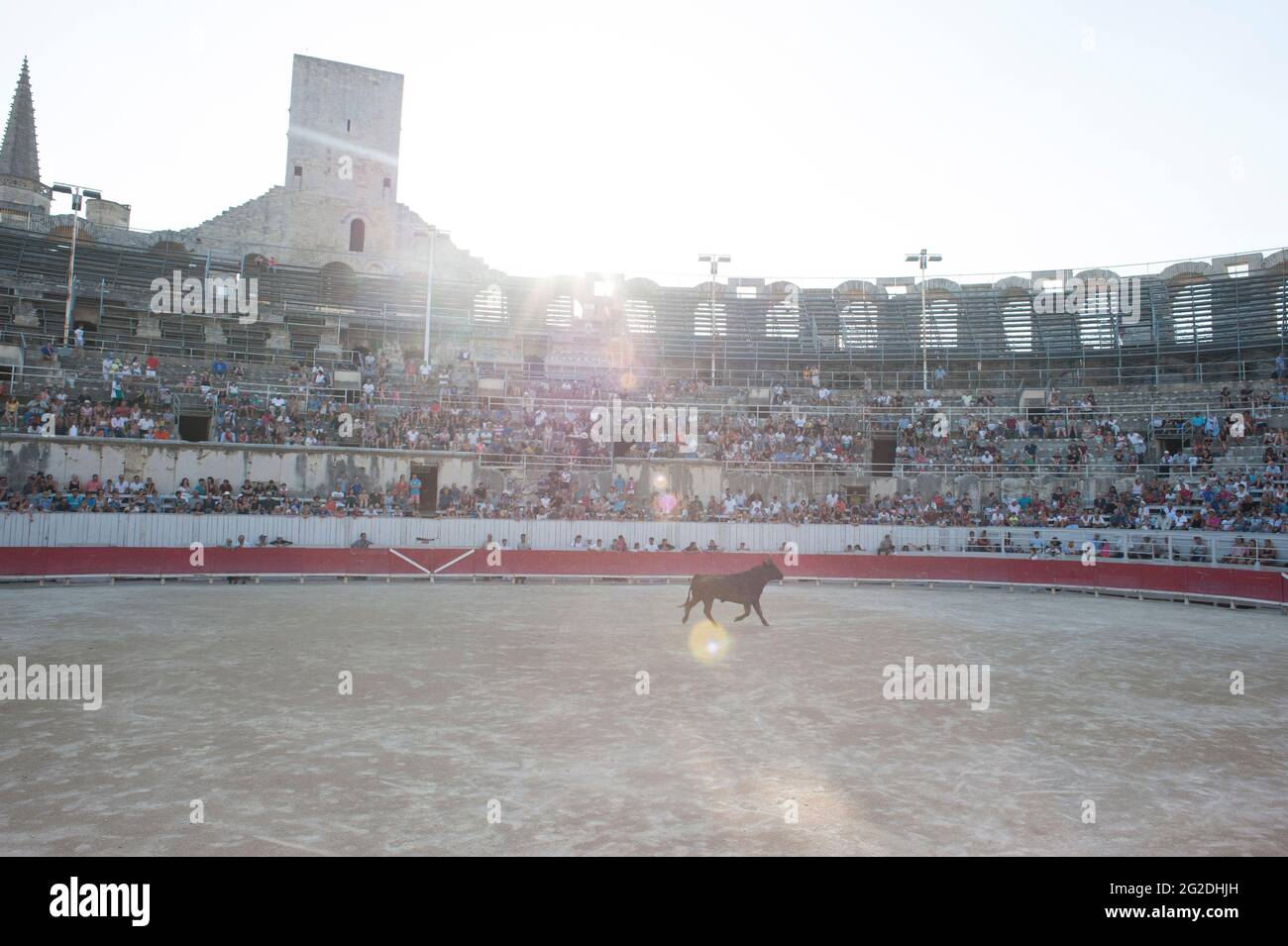 Bilder aus der römischen Arena / Amphitheater in Arles vom Stierkampf-Sport. Stockfoto