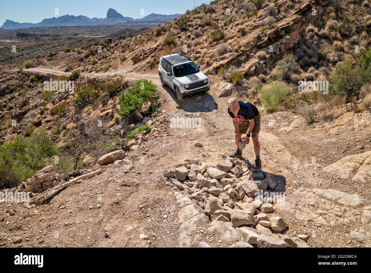 Mann, der Steine auf einem schwierigen Abschnitt umordnet, bevor er es überquert, fährt 2017 Jeep Renegade Deserthawk, Black Gap Road, Big Bend National Park, Texas Stockfoto