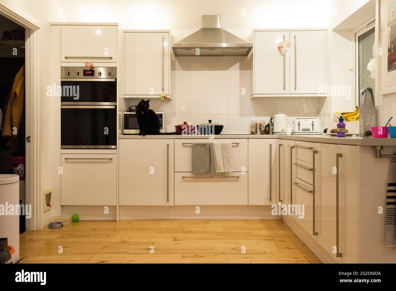 Innenaufnahmen einer echten Familienküche in einem authentischen, modernen Zuhause. Stockfoto