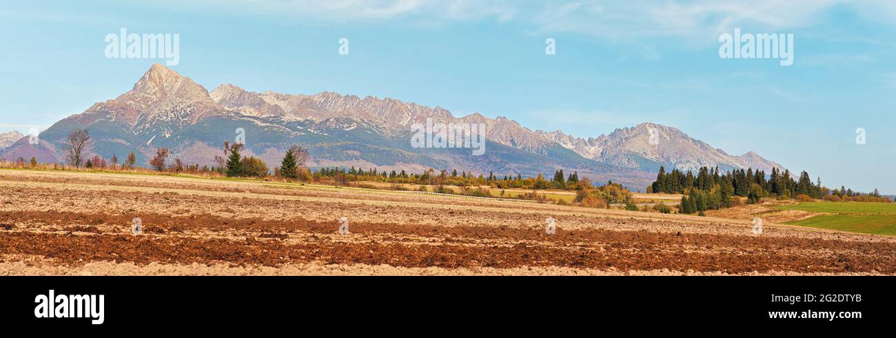 Berg Krivan (slowakisches Symbol) mit schrägem, trockenem Herbstfeld im Vordergrund, typische Herbstlandschaft der Region Liptov, Slowakei Stockfoto