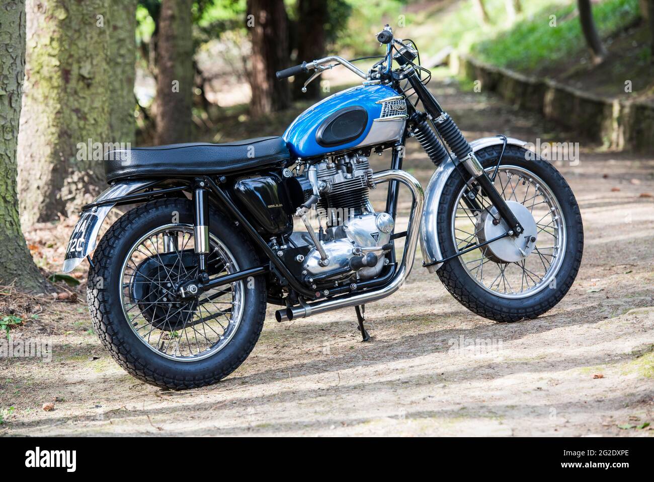 Ein Paar restaurierter Triumph Bonneville's Stockfoto