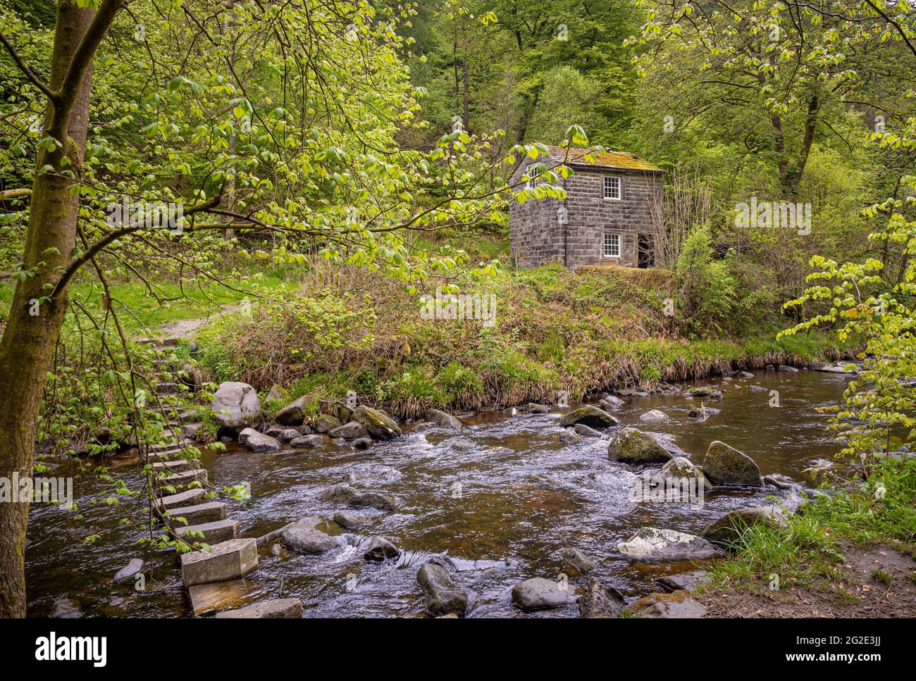 Trittsteine überqueren Hebden Beck mit dem Gibson Mill toll House in der Ferne. Hardcastle Crags, West Yorkshire. Stockfoto