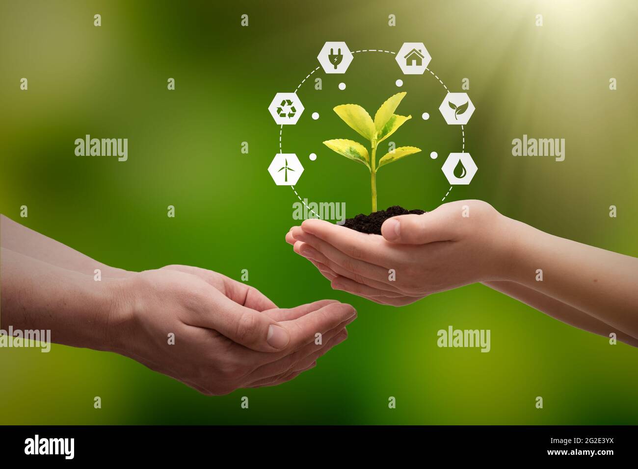 Konzept für nachhaltige Energiequellen mit anbaubarer Pflanze in der Hand Stockfoto