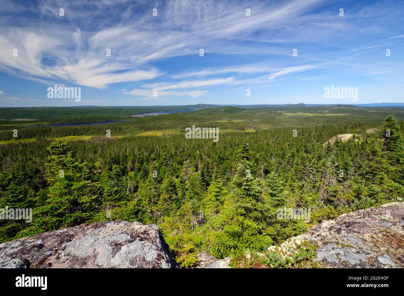 Blick vom Ocher Hill im Terra Nova National Park Stockfoto