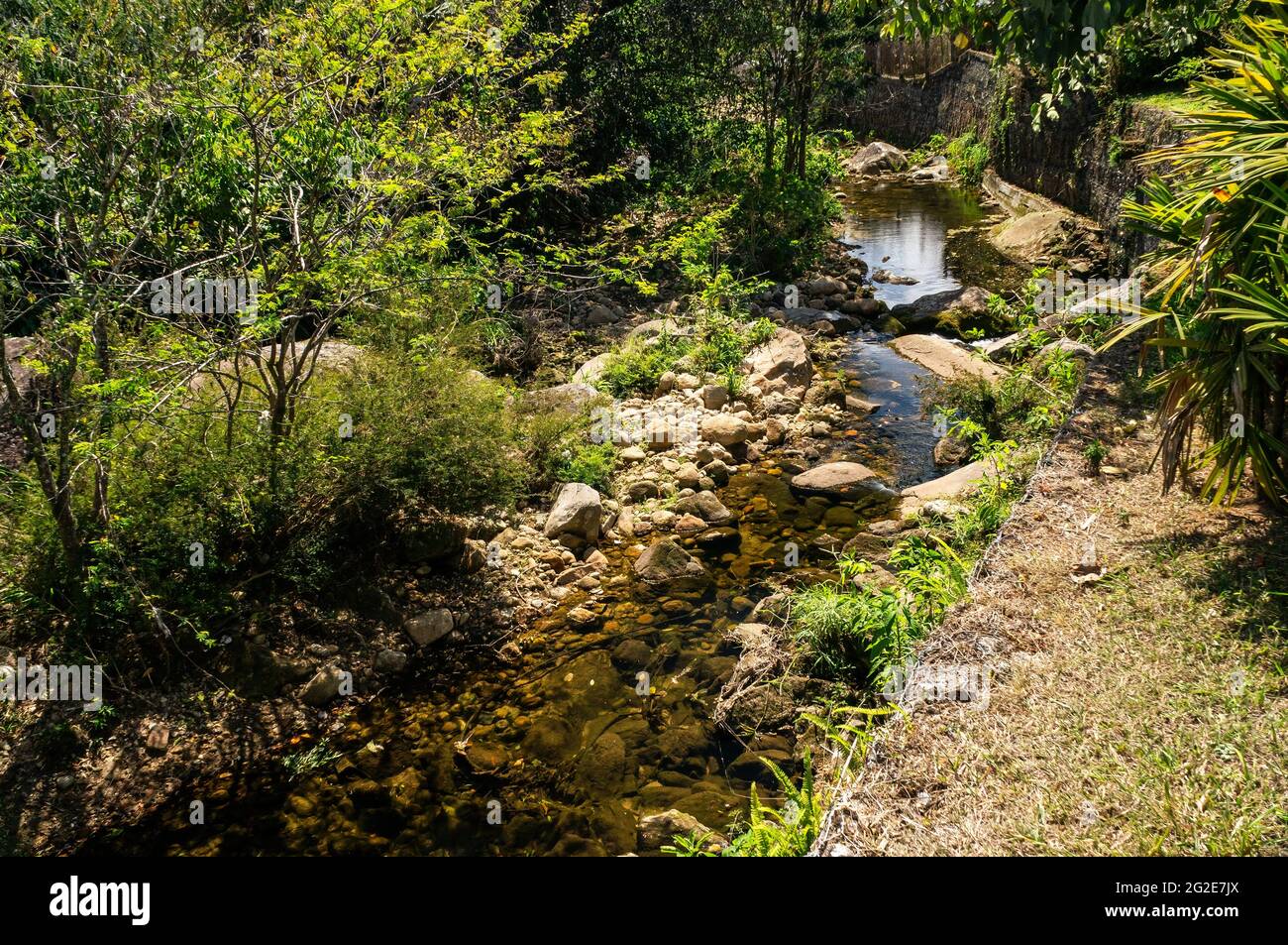 Der kristallklare Wasserstrom mit einigen Felsen und Gras am Flussufer sah von oben an einem sonnigen Tag in Teresopolis, Rio de Janeiro - Brasilien. Stockfoto