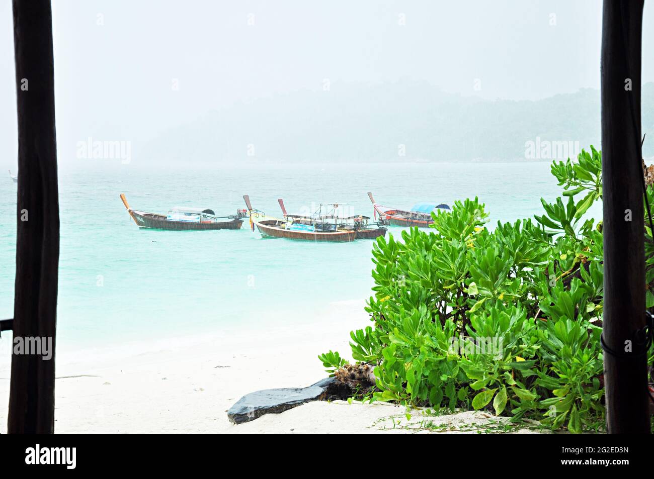 Strand mit Pflanzen- und Langschwanz-Booten in Südostasien Stockfoto