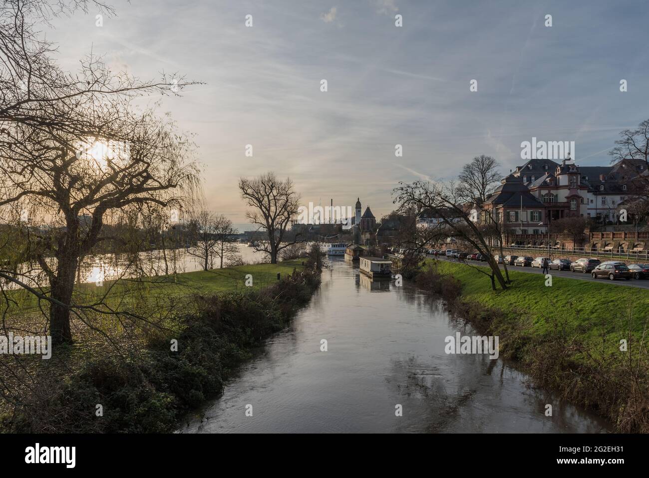 Untergehende Wintersonne über dem Main bei Frankfurt Hoechst Deutschland Stockfoto
