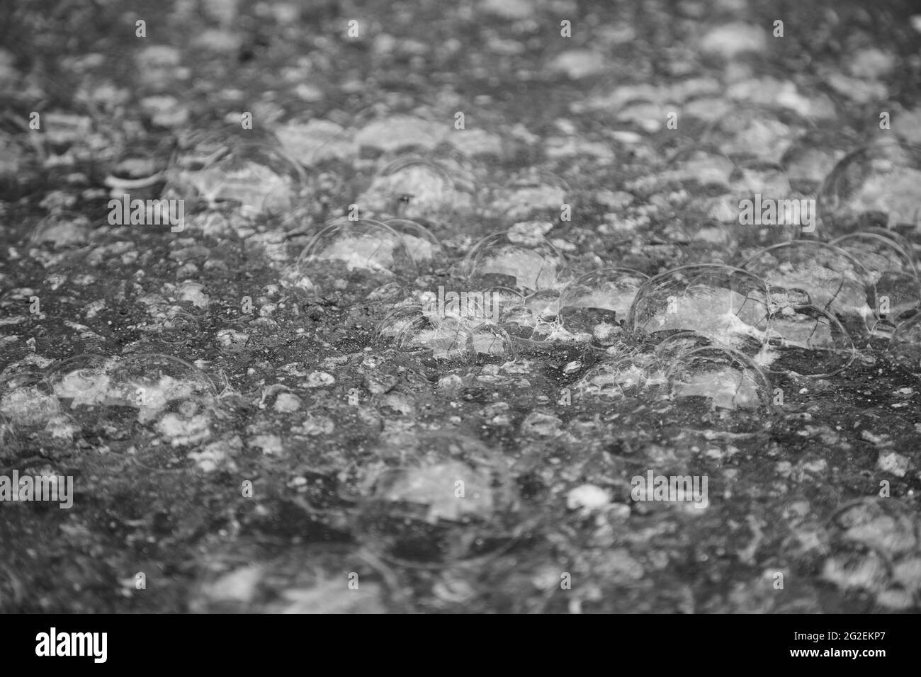 Abstrakt grau Blasen Hintergrund. Schwarzer und weißer Wasserhintergrund. Nahtlose Textur Stockfoto