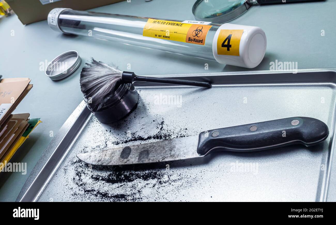 Fingerabdruck-Entwicklung auf einem Messer, das an einem Mord in einem Kriminallabor beteiligt ist, konzeptuelles Bild Stockfoto