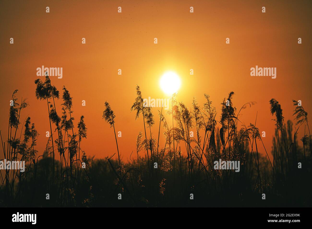 Sonnenuntergang in Brandenburg. So kann das Ende des Tages beginnen Stockfoto