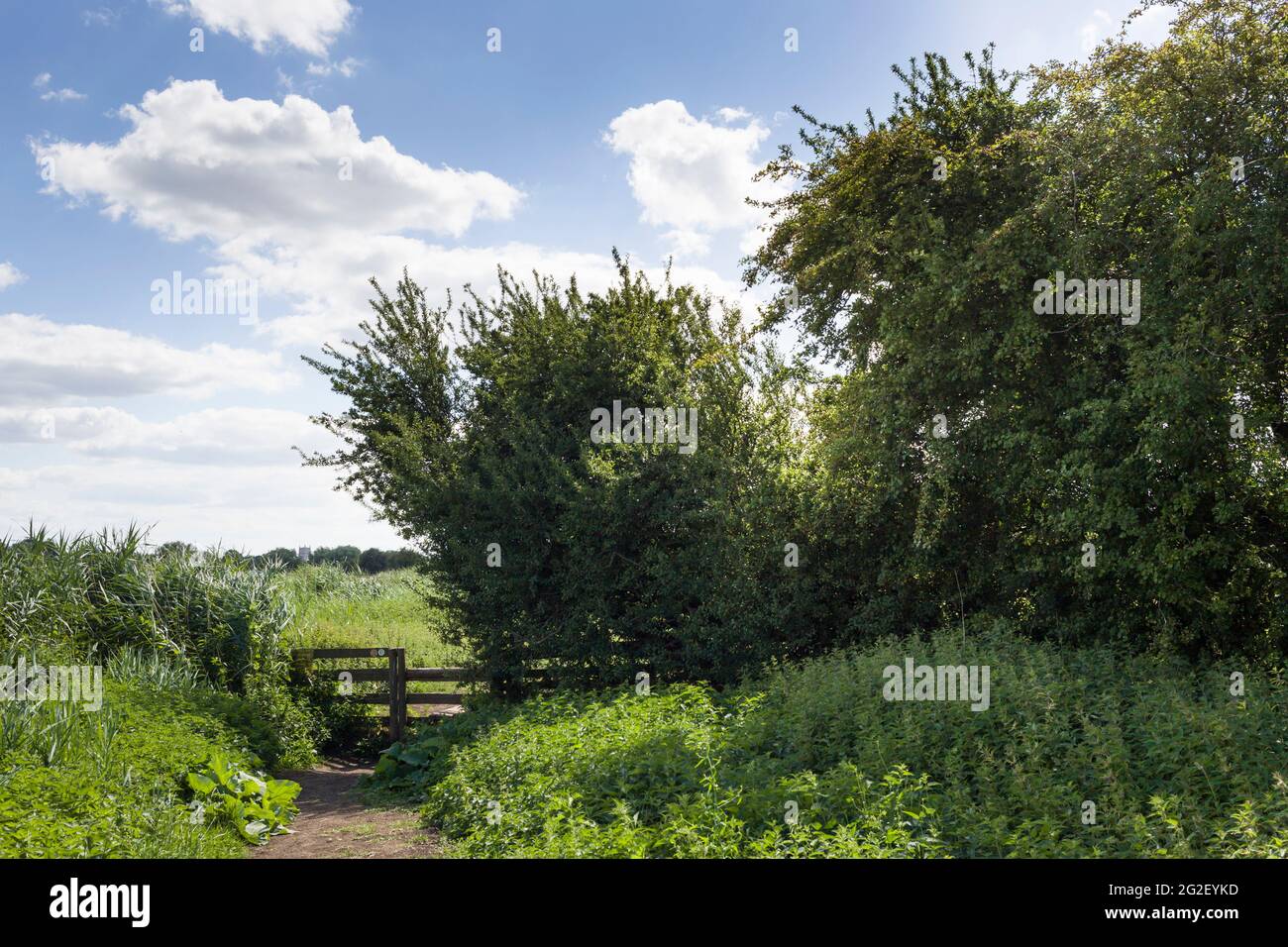 Wanderweg auf dem Land, Tor und Weißdornhecken nördlich von Tewkesbury, Gloucestershire, mit Fernsicht auf den Tewkesbury Abbey Tower. Stockfoto