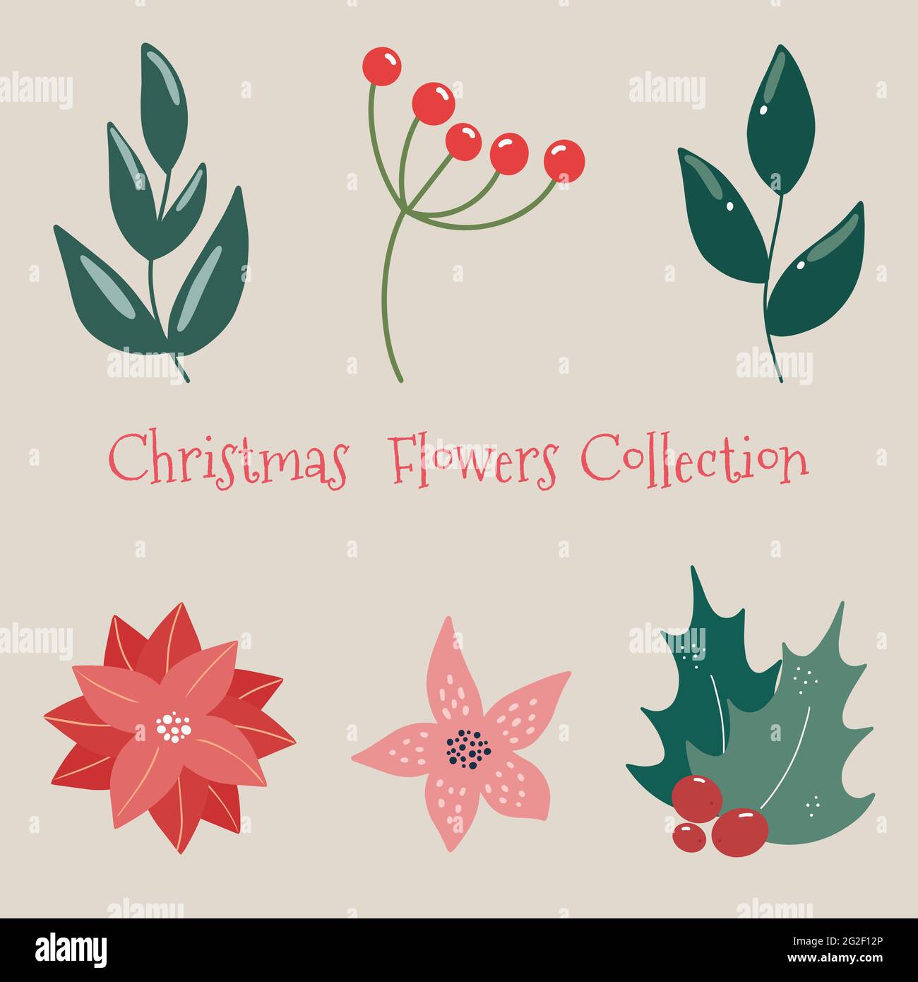 Weihnachts-Blumenkollektion mit dekorativen Pflanzen und Blumen im Winter. Niedliche Hand gezeichnet im skandinavischen Stil. Stock Vektor