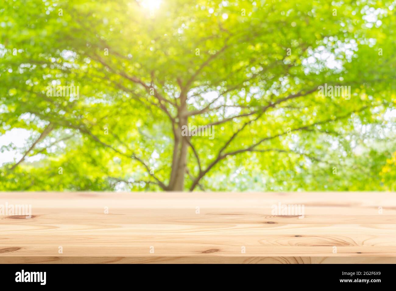 Hölzerne Tischplatte mit unscharfen grünen Baum frische Natur Hintergrund für Montage Display Produkte Werbefläche. Stockfoto