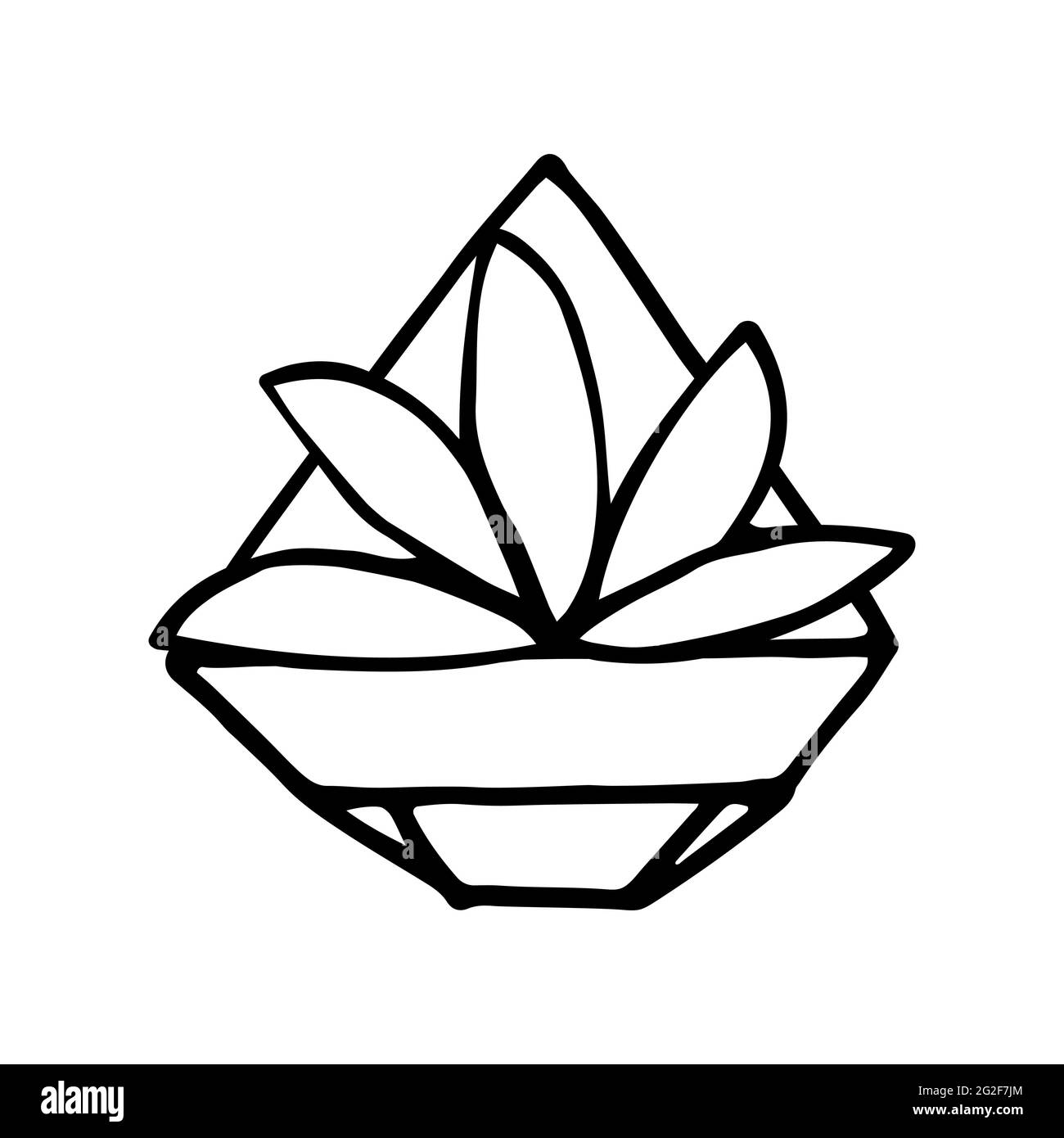 Doodle Pflanze in einem facettierten Topf. Handgezeichnete Blätter mit poly ornamentalen Blumentopf. Umriss einer Heimpflanze auf weißem Hintergrund isoliert. Süßes Scandin Stock Vektor