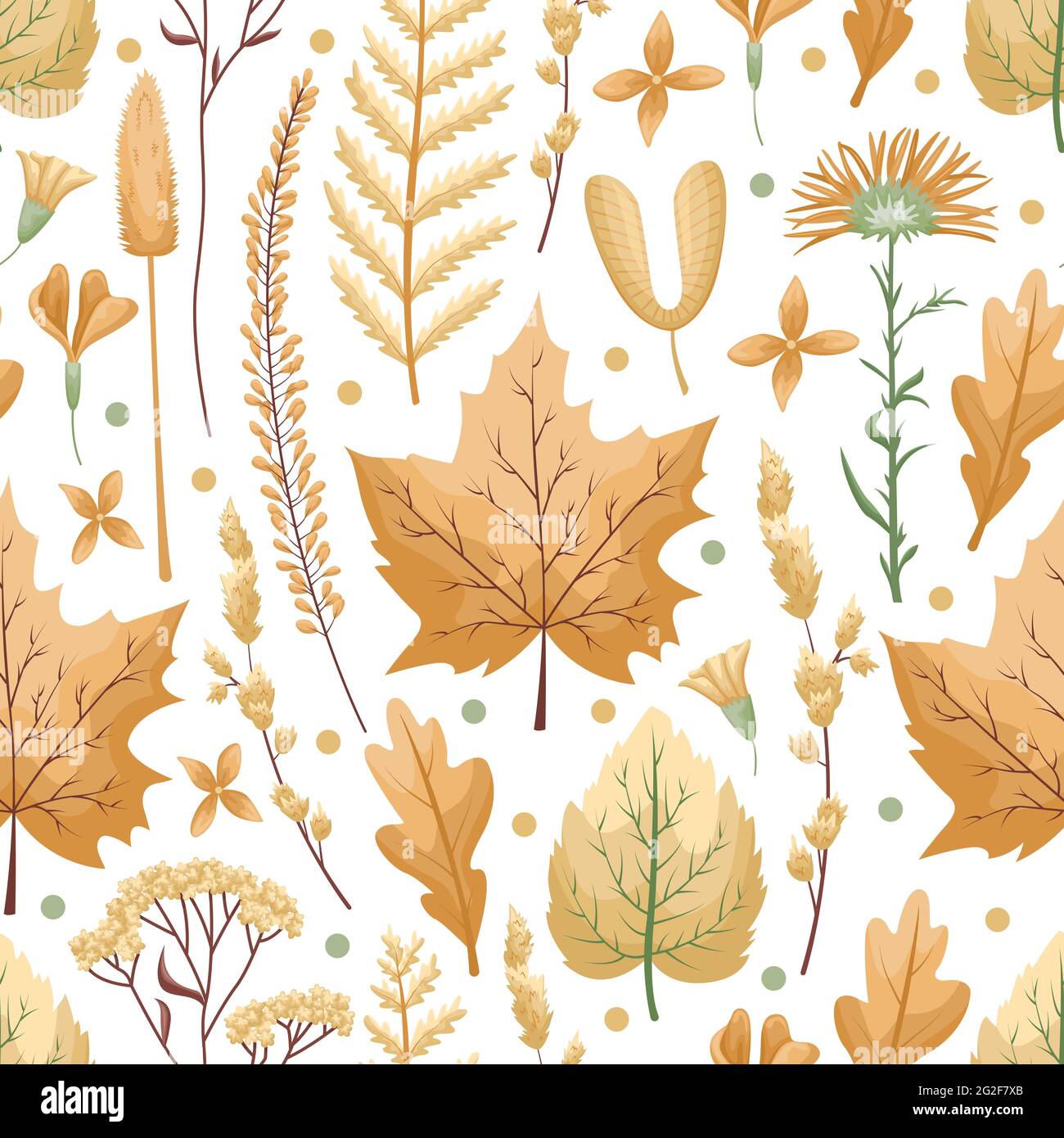 Nahtloses Vektor-Muster mit Herbarium-Blättern und Blumen auf weißem Hintergrund. Herbstfarben, Herbstblätter. Stock Vektor