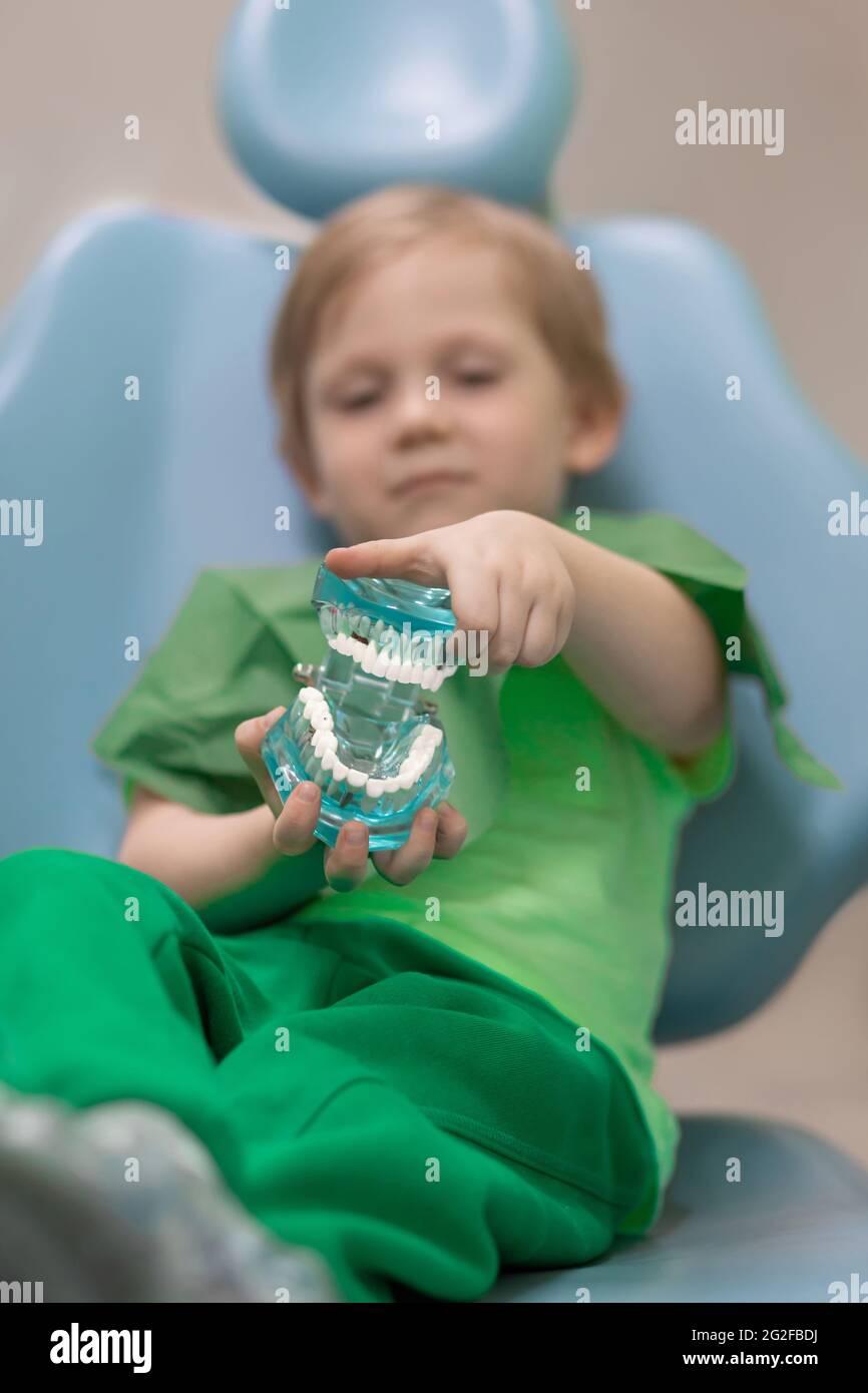 Selektiver Weichfokus. Kinderhände halten den Glasskiefer mit schmerzenden weißen Zähnen mit Karies und Pulpitis. Konzept für Zahnmedizin und ärztliche Behandlung. Stockfoto