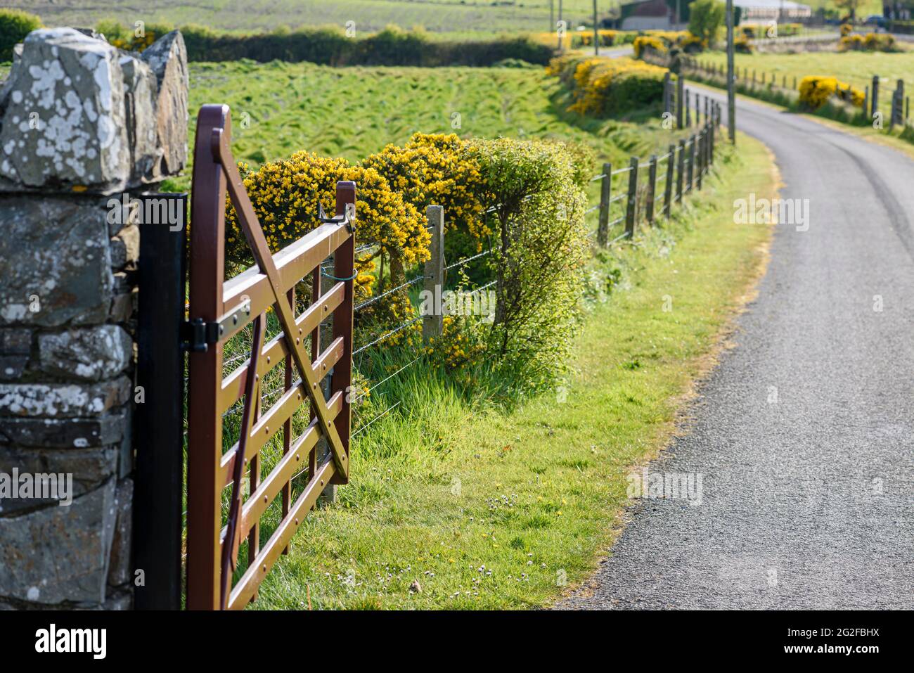 Holztor am Ende einer Farmstraße in Nordirland Stockfoto