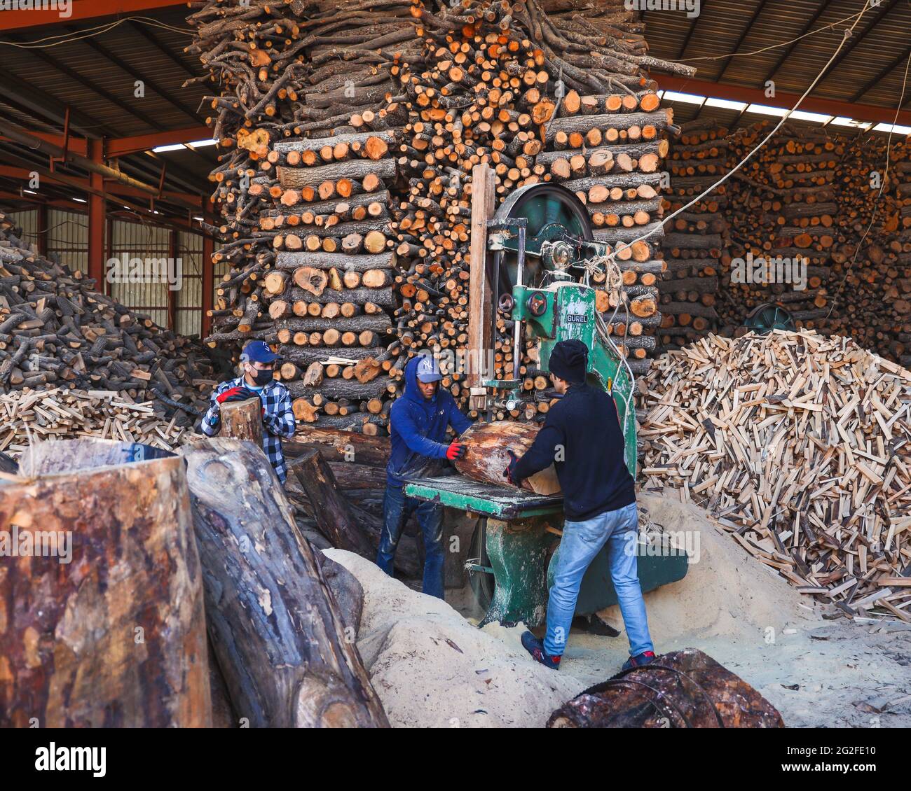 Zwei Turkısh Holzfäller schneidet und bereitet Brennholz für den Verkauf und die Produktion von Holzkohle in einer Werkstatt auf einer Tischsägemaschine, Holzschneidemaschine. Stockfoto