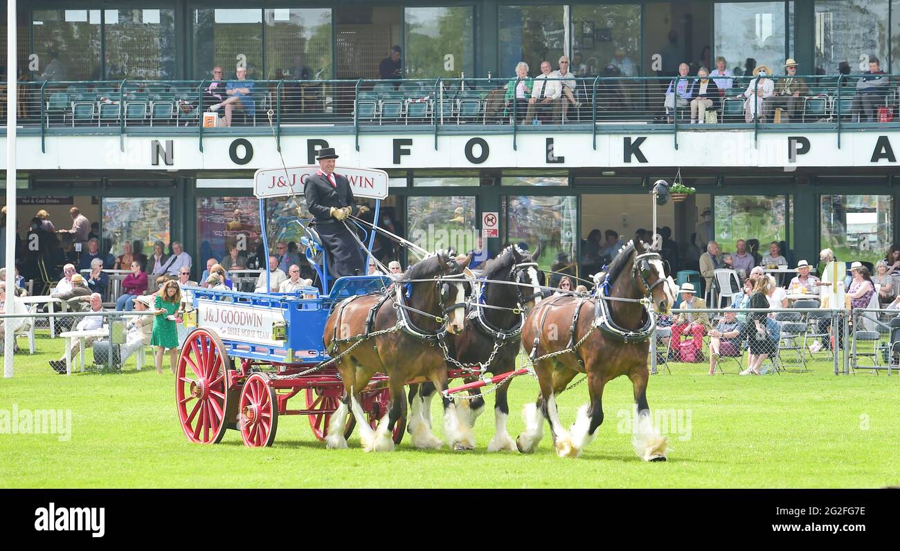 Ardingly Sussex UK 11. Juni 2021 - Heavy Horses in Aktion am ersten Tag der South of England Show in Ardingly Sussex . Die South of England Show 2021 ist die regionÕs Premier Country Show, die an drei Tagen Tausende von Besuchern aus dem ganzen Land anzieht : Credit Simon Dack / Alamy Live News Stockfoto