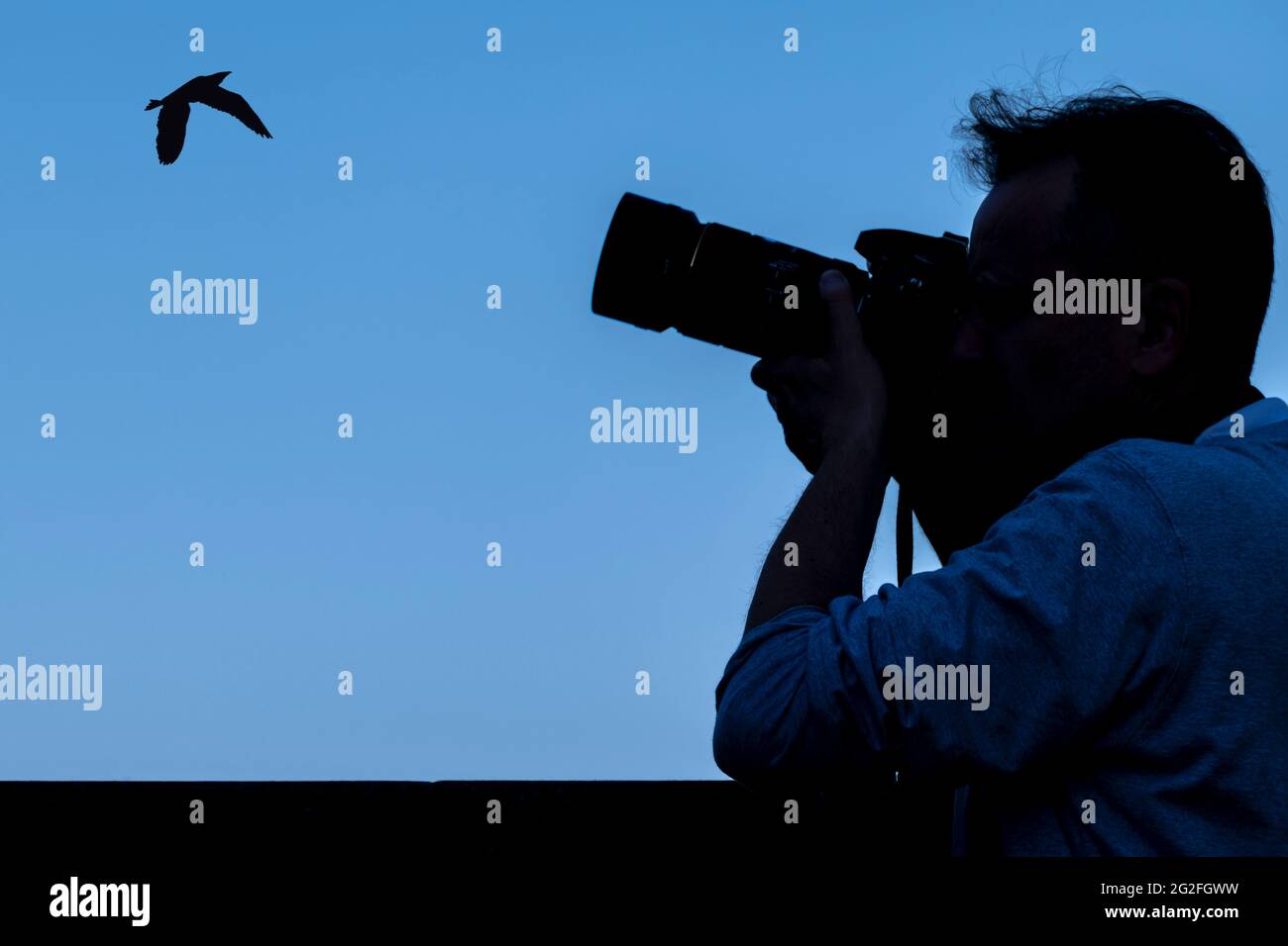 Silhouette eines Fotografen, der einen Vogel gegen den blauen Himmel fotografiert Stockfoto