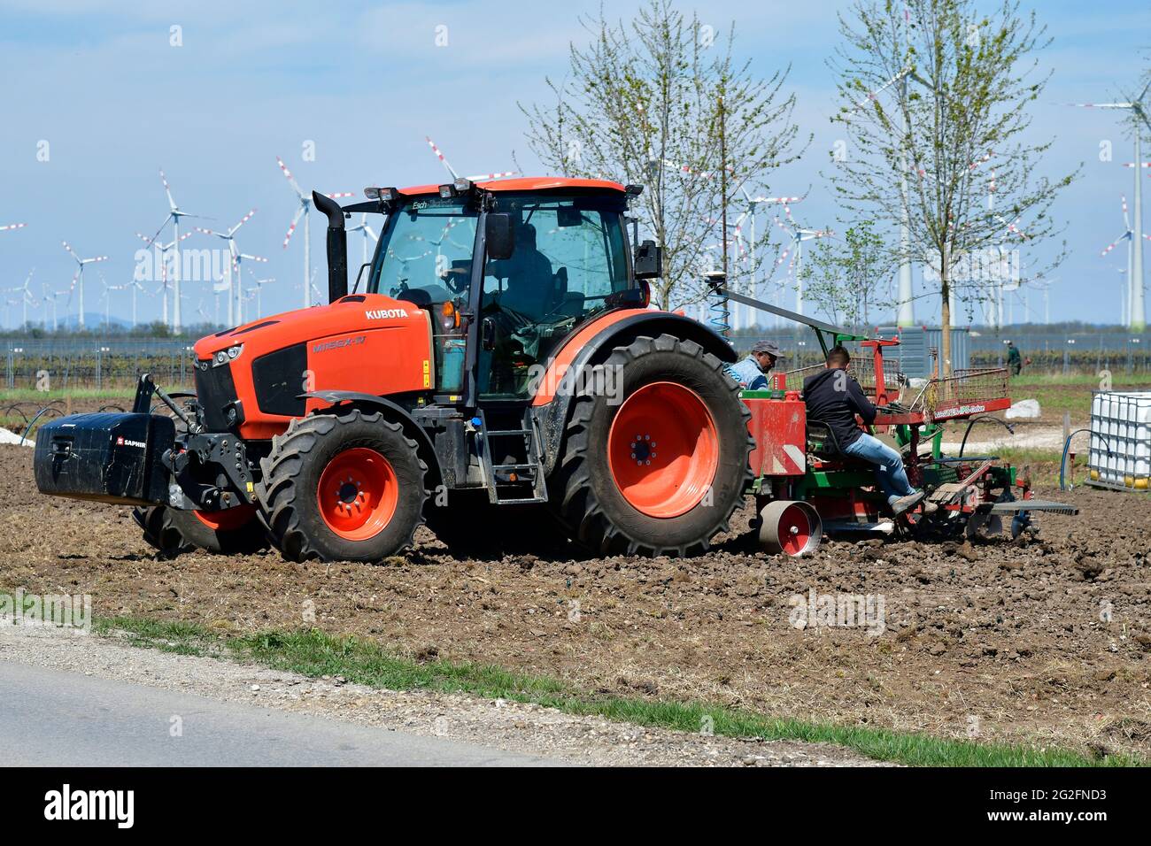 Podersdorf, Österreich - 04. Mai 2021: Unbekannte Helfer auf einem Traktor, die Weinreben mechanisch Pflanzen Stockfoto