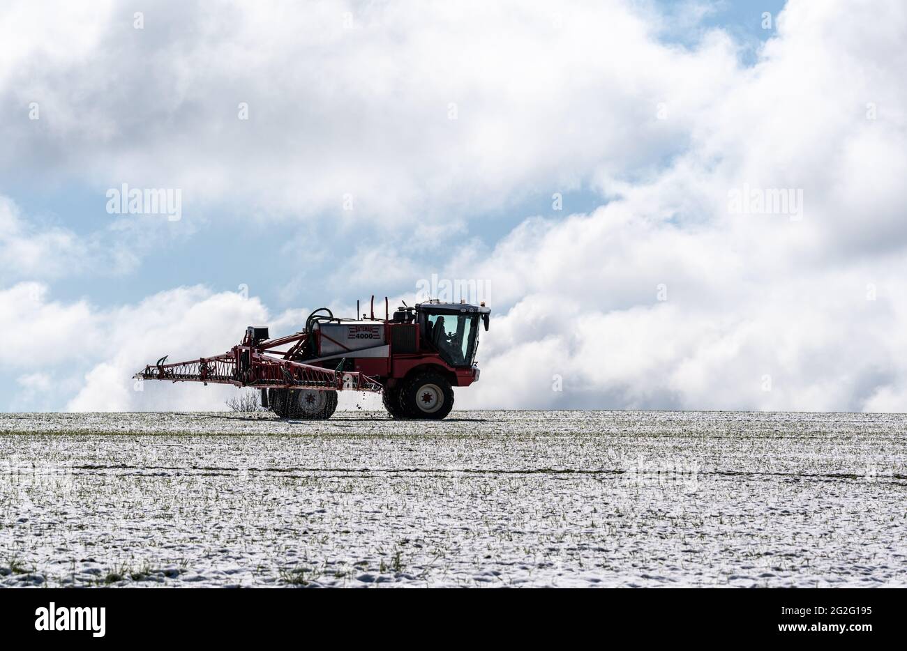 Das Getreide wird nach einem Schneeschauer im April besprühen Stockfoto