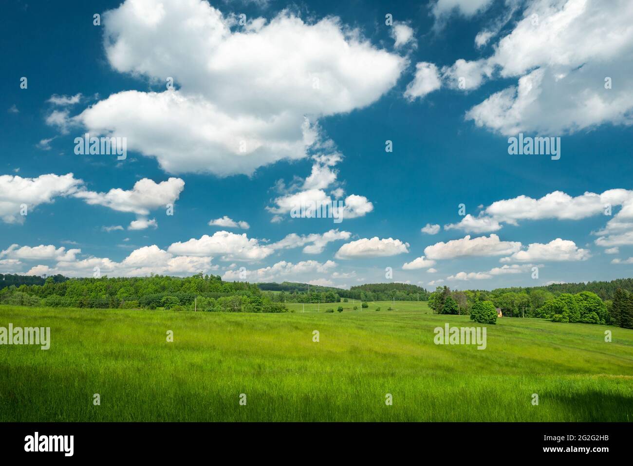 Malerische Landschaft aus grüner Wiese und blauem Sommerhimmel mit weißen Cumuluswolken in der Region Böhmische Schweiz in der Tschechischen Republik Stockfoto