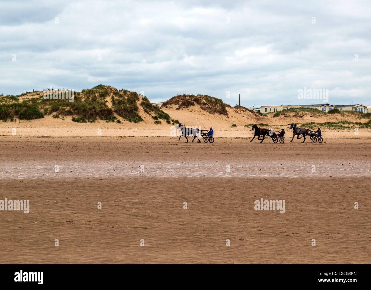 Pferd und Falle am Strand von Redcar, Cleveland Stockfoto