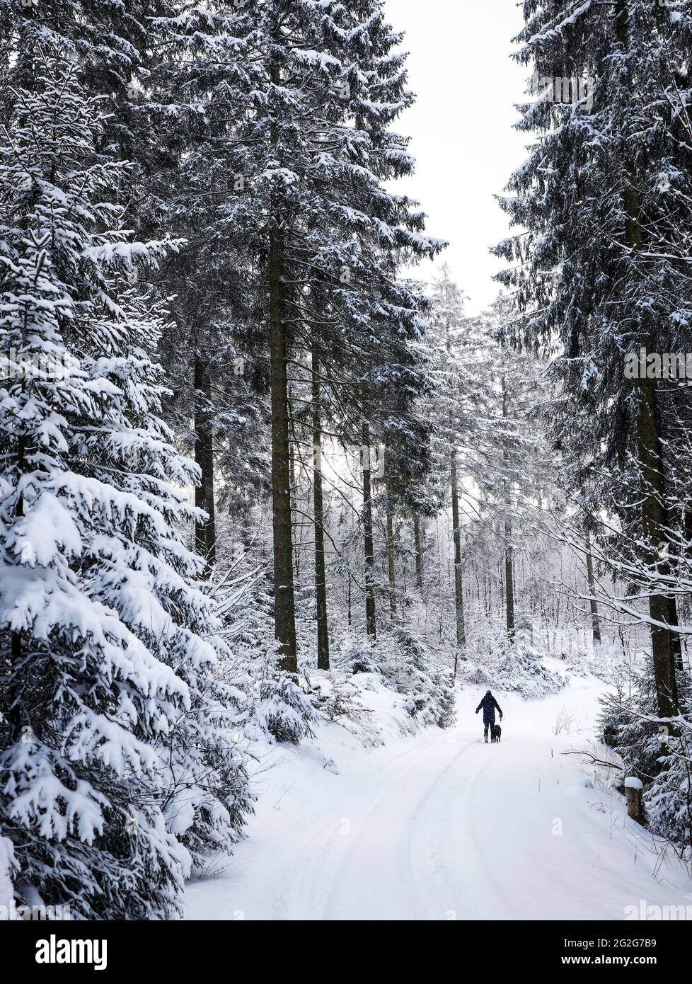 Mann mit Hund im Winterwald Stockfoto