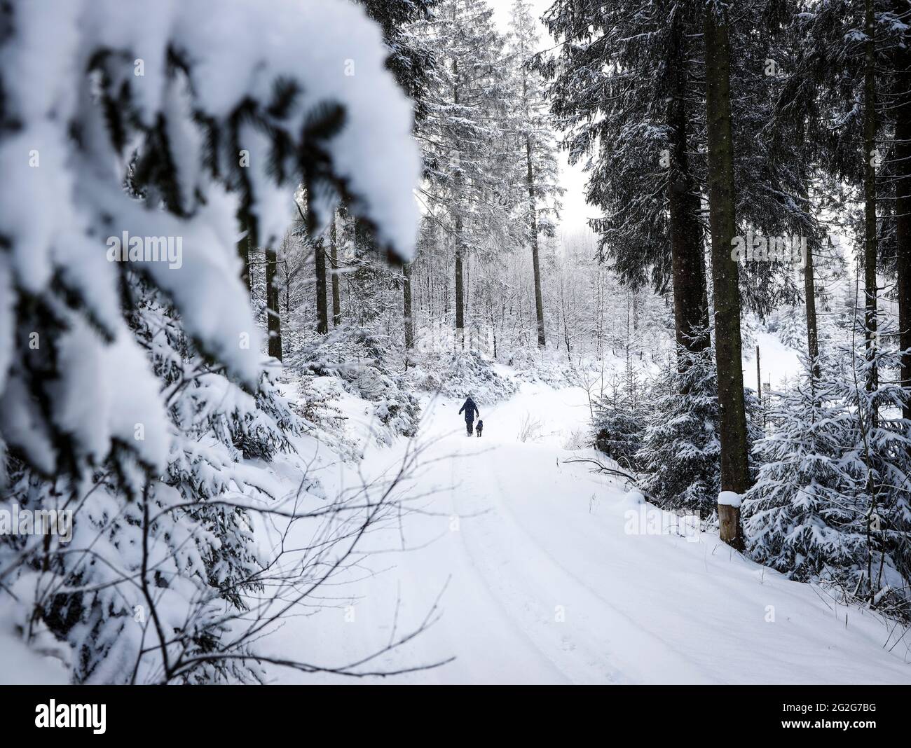 Mann mit Hund im Winterwald Stockfoto