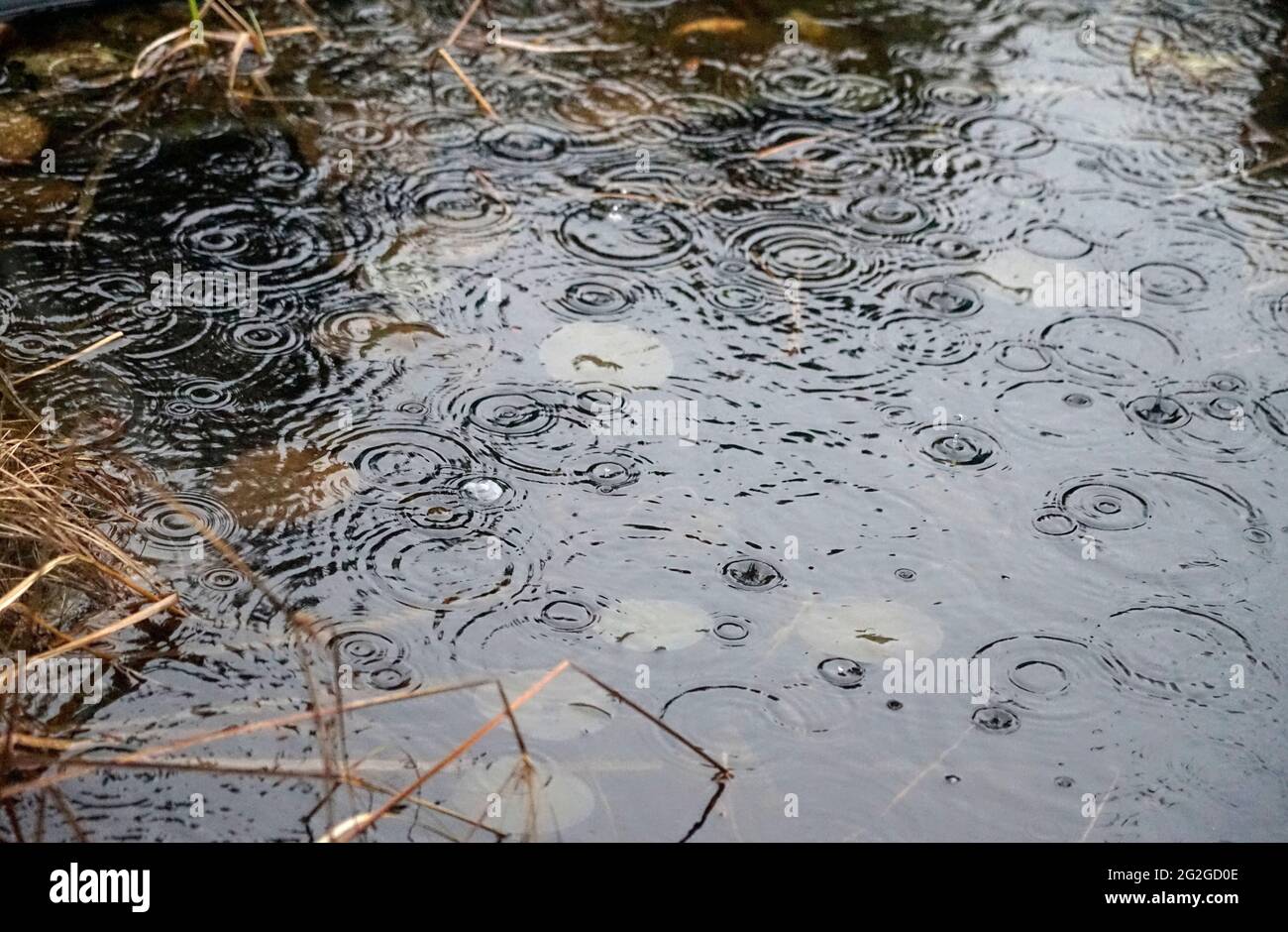 Wasser teich wasser wellen Fotos und Bildmaterial in hoher Auflösung