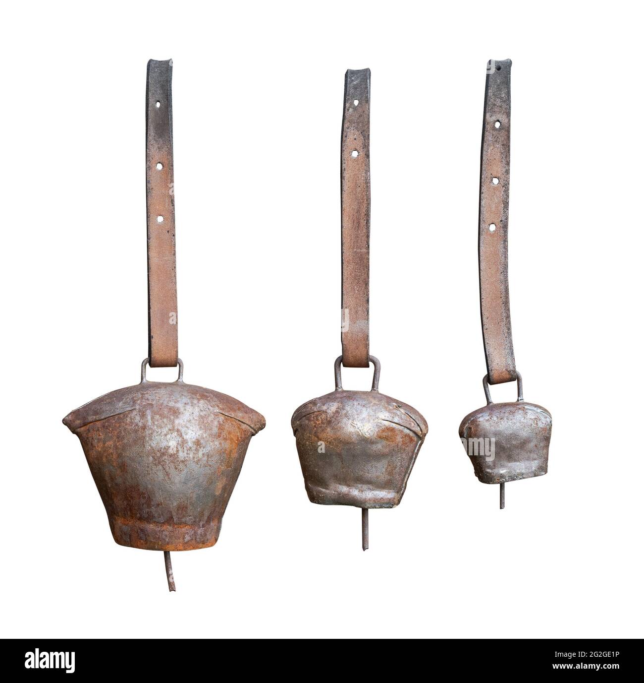 Vorderansicht Nahaufnahme von verrosteten Metallkuhglocken mit Lederkragen auf weißem Hintergrund isoliert Stockfoto