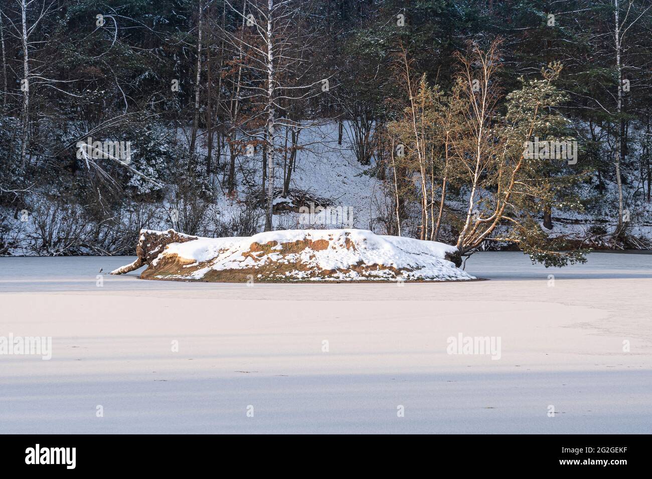 Gefrorener See in Mittelfranken, Bayern Stockfoto