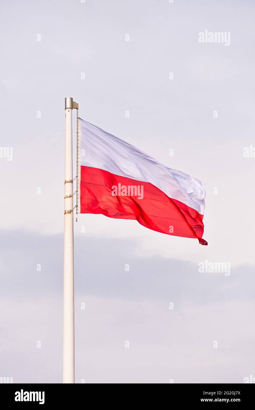 Flagge der Republik Polen. Stockfoto