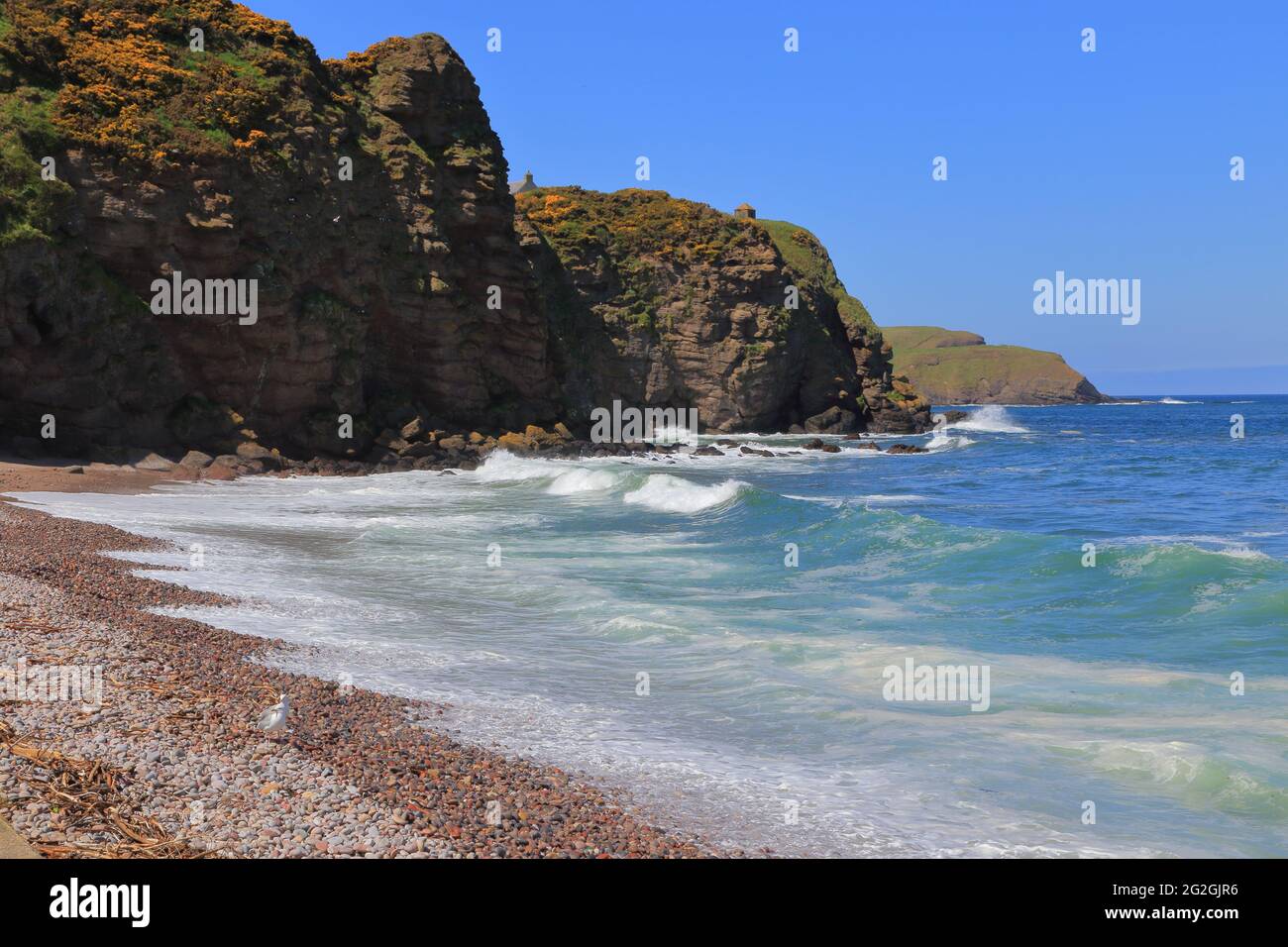 Pennan, ein kleines Dorf in Aberdeenshire, Schottland. Bestehend aus einem kleinen Hafen und einer einzigen Wohnreihe. Stockfoto