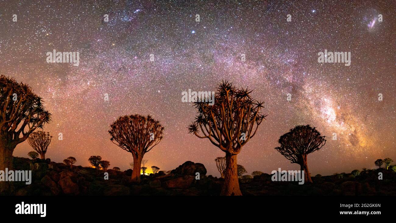 Quivertree Wald unter der Milchstraße bei Ketmanshoop Stockfoto