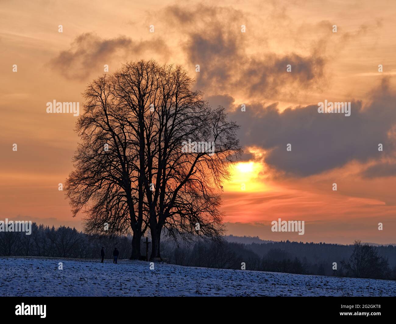 Wegkreuze zwischen Linden, Stockfoto