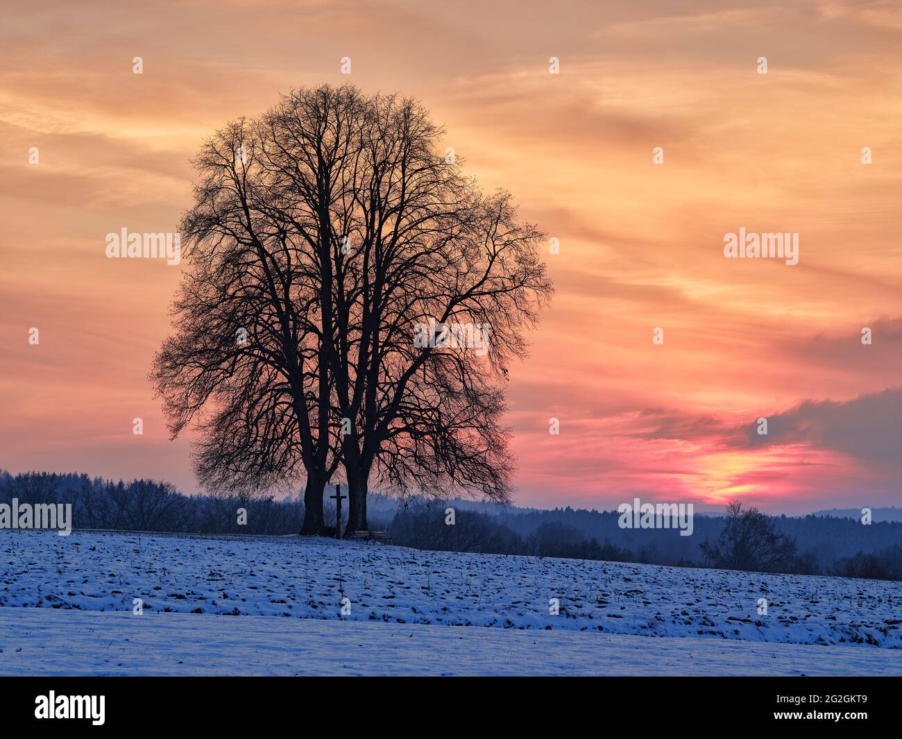 Wegkreuze zwischen Linden, Stockfoto