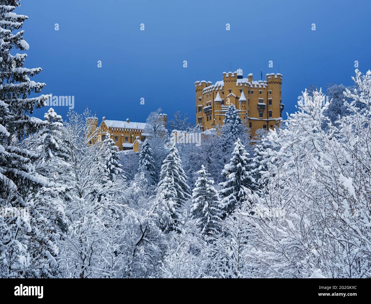 Winterstimmung auf Schloss Hohenschwangau, Stockfoto