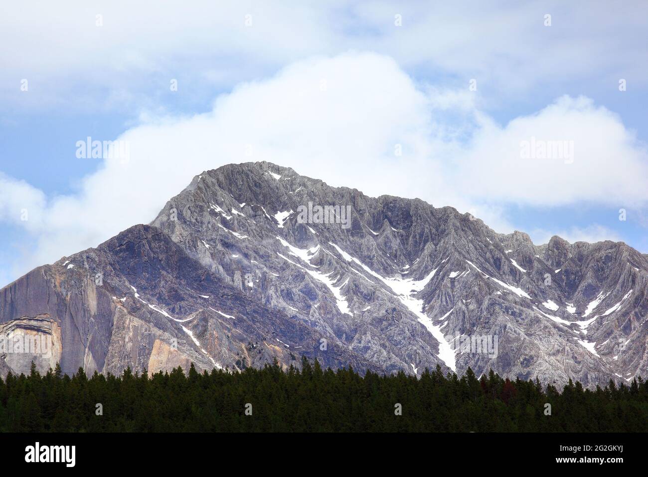 Bergkette der Kanadischen Rockies am Johnston Canyon, umgeben von Pinienwäldern, im Banff National Park, Alberta, Kanada Stockfoto