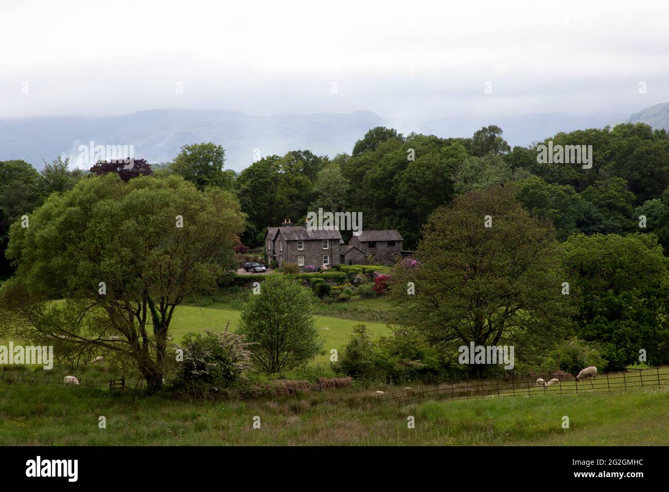 High Wray Farm, in Fell Farmland Lake District, Cumbria, England Stockfoto