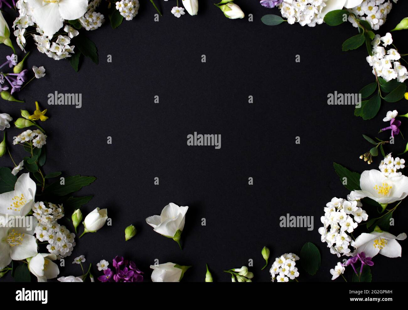 Blumenrahmen aus verschiedenen Frühlingsblumen auf schwarzem Hintergrund. Die Blumen lagen flach. Platz für Text Stockfoto