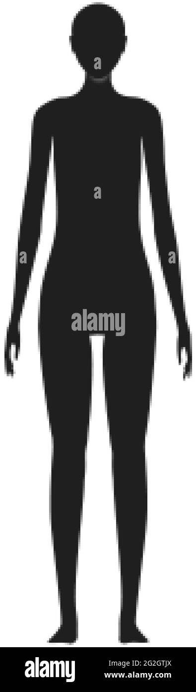 Vorderansicht einer weiblichen menschlichen Körpersilhouette Stock Vektor