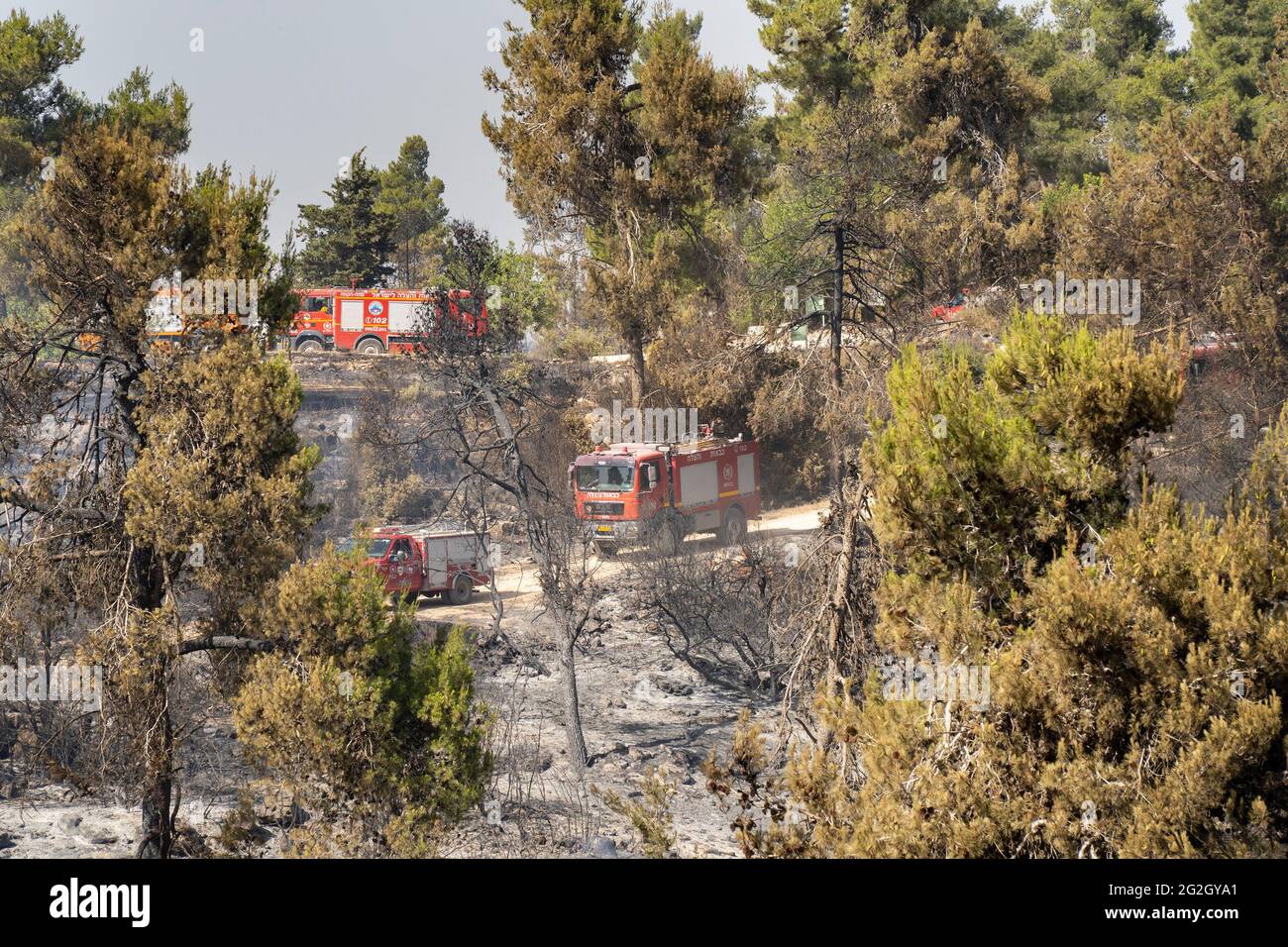 Maale Hahamisha, Israel - 10. Juni 2021: Israelische Feuerwehrfahrzeuge nach dem Löschen eines großen Waldbrands in der Nähe von Jerusalem, Israel. Stockfoto