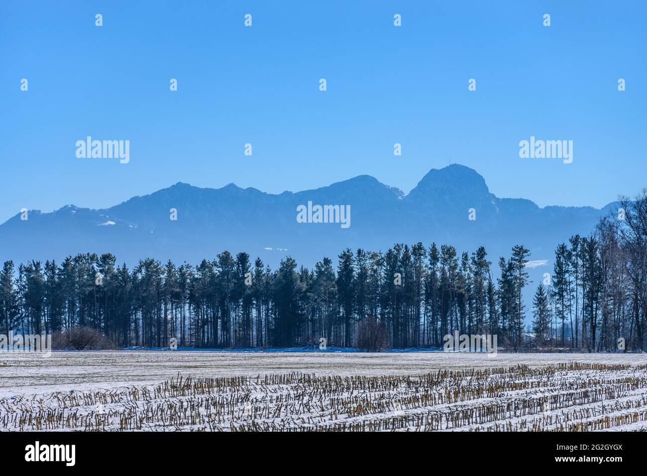 Deutschland, Bayern, Oberbayern, Bezirk Rosenheim, Markt Bruckmühl, Bezirk Weihenlinden, Kulturlandschaft gegen das Wendelstein-Massiv Stockfoto