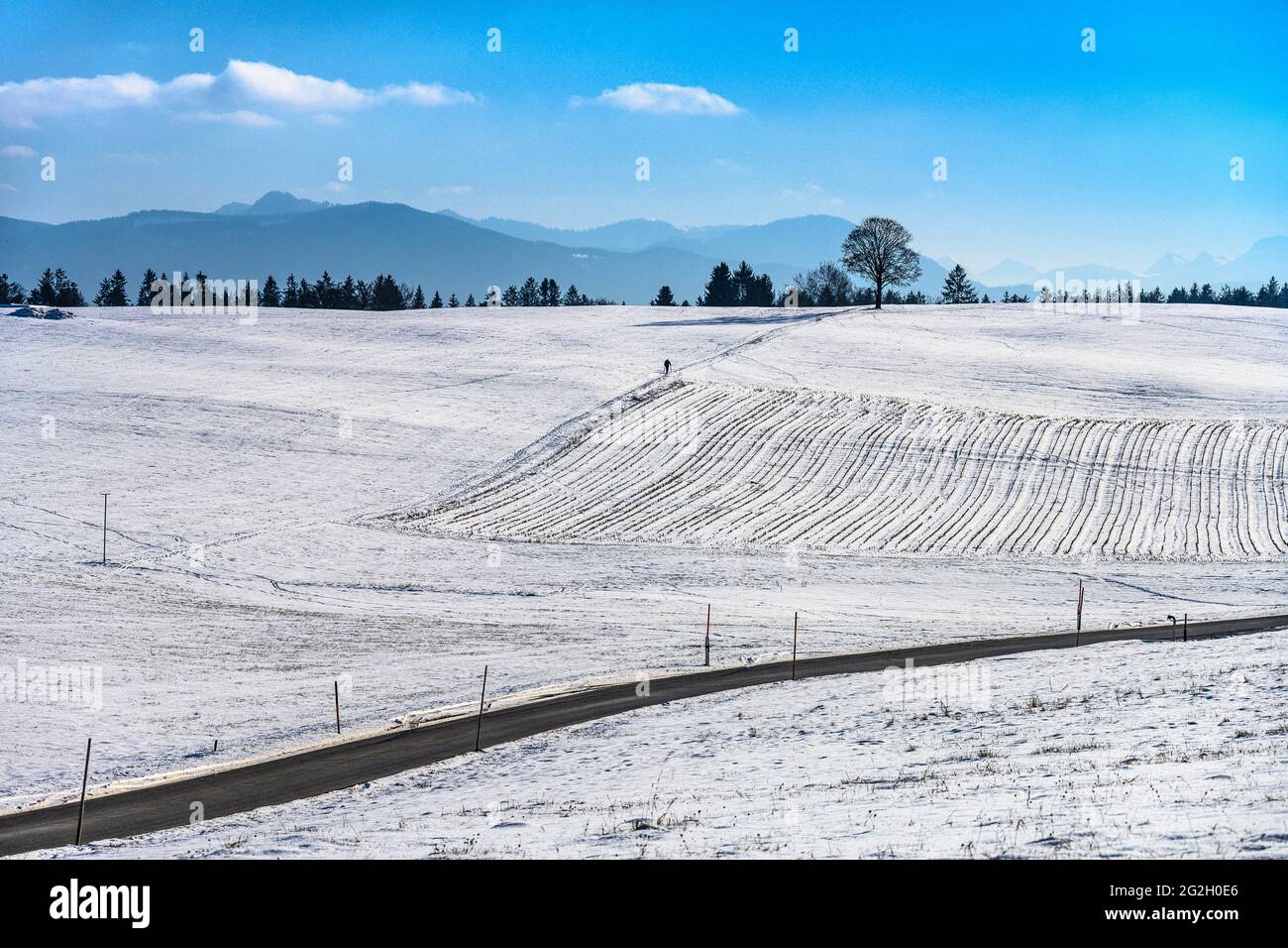 Deutschland, Bayern, Oberbayern, Tölzer Land, Dietramszell, Bezirk Manhartshofen, Winterlandschaft Stockfoto